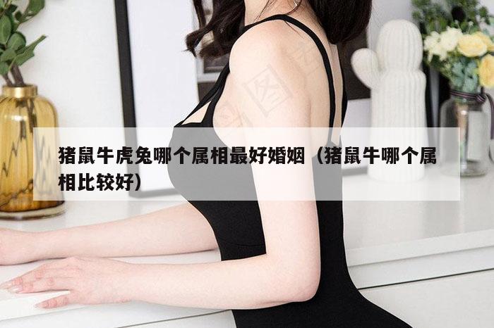 猪鼠牛虎兔哪个属相最好婚姻（猪鼠牛哪个属相比较好）